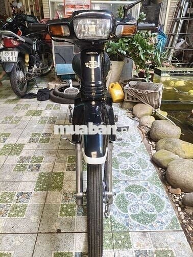 Xe Honda Custom 100