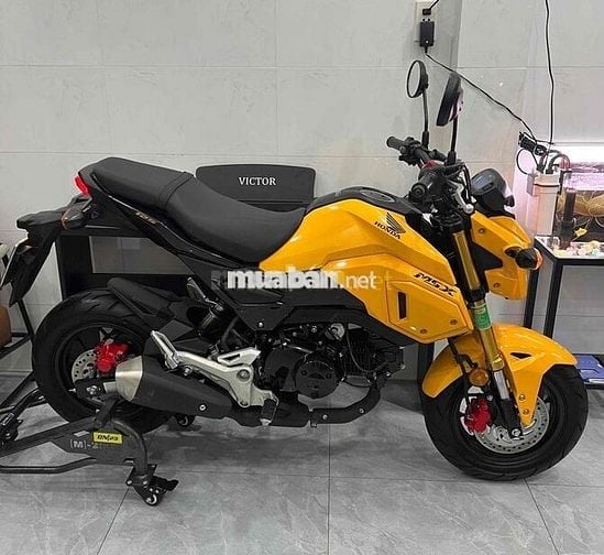 MSX 125 BSTP chính chủ , xe cọp cho AE sưu tầm