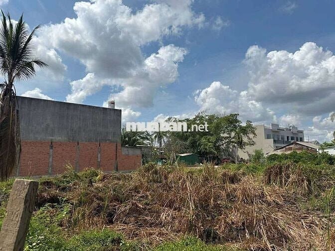 Bán đất thổ cư Tân Kiên Cũ (Tân Nhựt Mới)