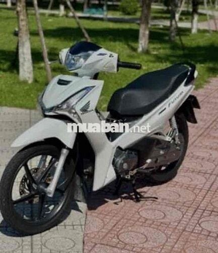 xem xe trực tiếp,