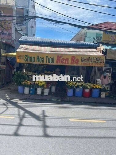 NHÀ SHR MẶT TIỀN VĨNH LỘC NGAY TRUNG TÂM NGÃ NĂM