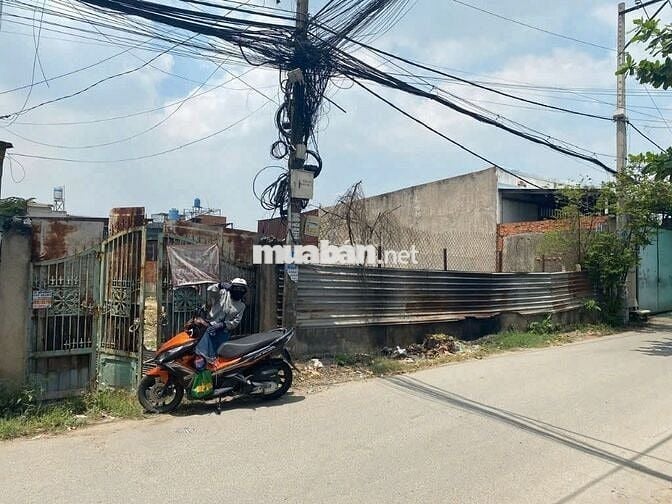 Chính chủ bán đất 448m2, sổ riêng, Lê Thị Dung, Vĩnh Lộc A, Bình Chánh