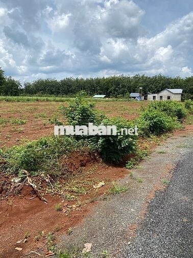 Long Hà Bình Phước 370m2, mặt tiền đg 18m, gần 2 KCN hỗ trợ vay 70%