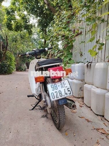 xe Cub cho học sinh và người chưa có bằng lái ạ