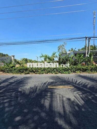 Bán gấp đất thổ cư mặt đường lộ lớn 520m2 xã Phú Điền, tỉnh Đồng Tháp