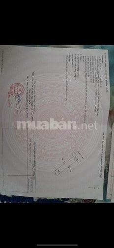 CHÍNH CHỦ BÁN GẤP KHU DÂN CƯ HỒNG PHÁT  NGÃ BẢY -TP.CẦN THƠ 1TỶ450tr