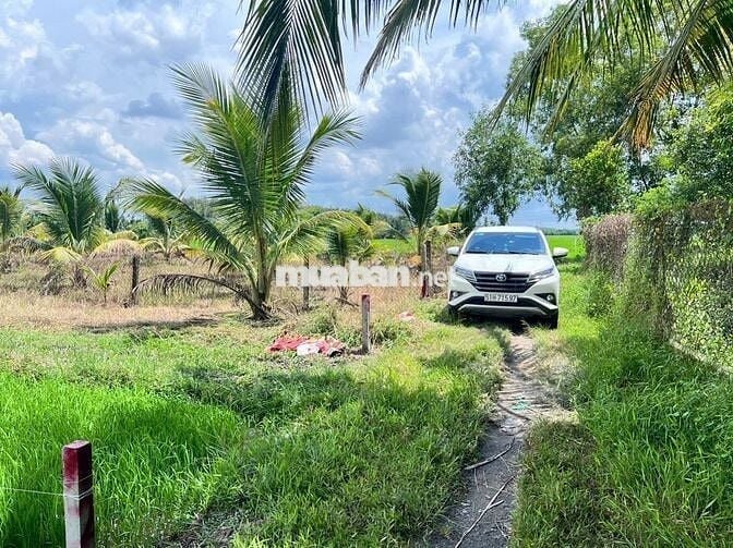 Đất phường siêu đẹp ,giá siêu ngộp, 500m2 chỉ 7xx tr