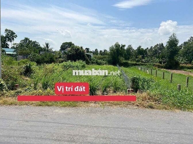 5×35=171mv THỔ ,MẶT TIỀN NHỰA ,NGÃ TƯ LẠC TẤN ,TÂN TRỤ