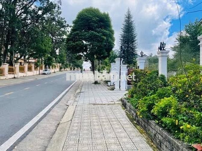 Đất nền tại Trần Bình Trọng, Phường 5, Đà Lạt. - Diện tích: 1100 m².