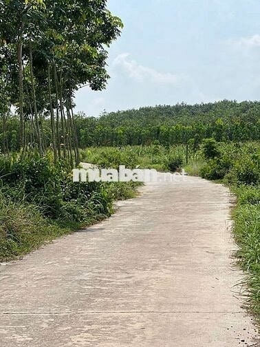 🏡Bán đất đô thị _ 600tr còn thương lượng 💸💸