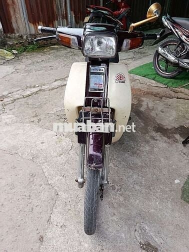 DREAM THÁI BS NINH THUẬN