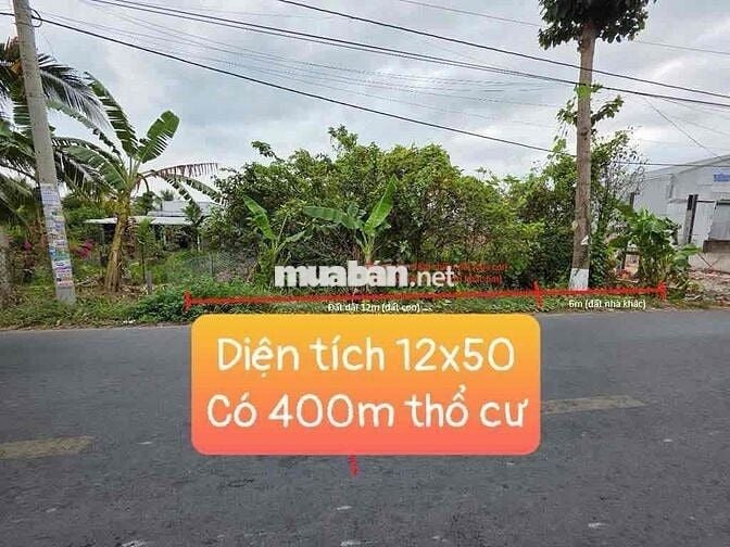 Đất mặt tiền Huỳnh Thị nở 12x50 có 400m thổ cư giá 8 tỷ 800 tr (TL)