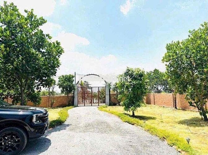 ĐẤT VƯỜN 1100M2 650 TRIỆU MẶT TIỀN ĐƯỜNG 16M SẴN SỔ HỒNG RIÊNG