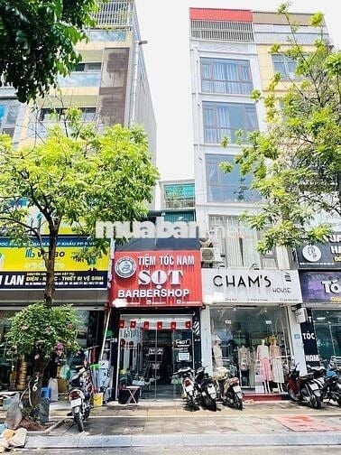 Bán Đất Mặt Phố Trương Công Giai - 32M2 - Vỉa Hè 5M - Kinh Doanh Đỉnh