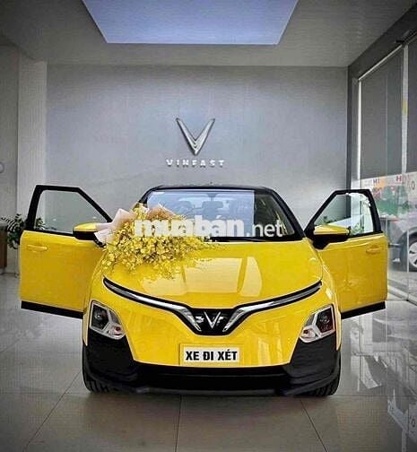 VinFast VF5 2025 Plus