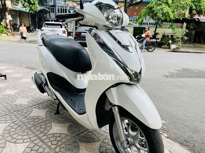 HONDA LEAD 125 TRẮNG ĐỜI MỚI 2024
