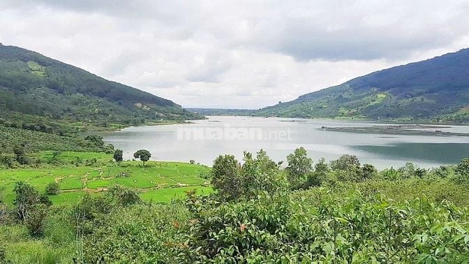 Đất view đẹp tại Di Linh, hồ Kala, lô đất mặt tiền rộng, nở hậu.