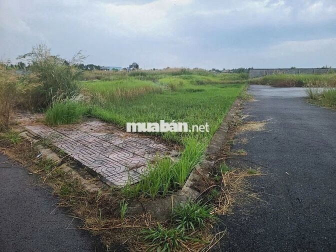 ĐẤT MẶT TIỀN CHỢ TRẠM 900 TRIỆU