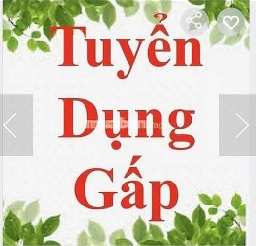 TUYỂN DỤNG GẤP 3 ỨNG VIÊN VĂN PHÒNG VÀ PHỤ TRÁCH KHO  