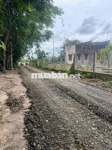 Đất thỗ cư phường An tịnh kcn trang bang Tây ninh