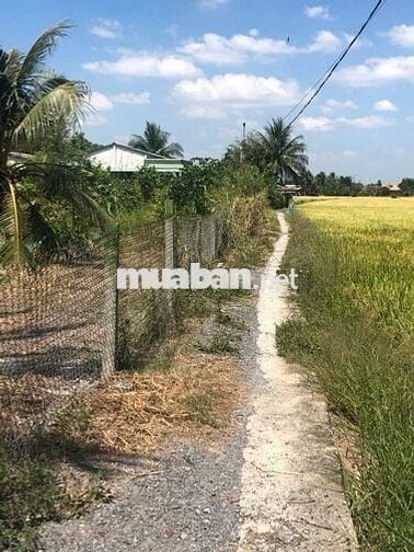 Bán đất thổ cư gần chợ Tân Trụ, Long An, TP.HCM, 168m2, giá 600tr