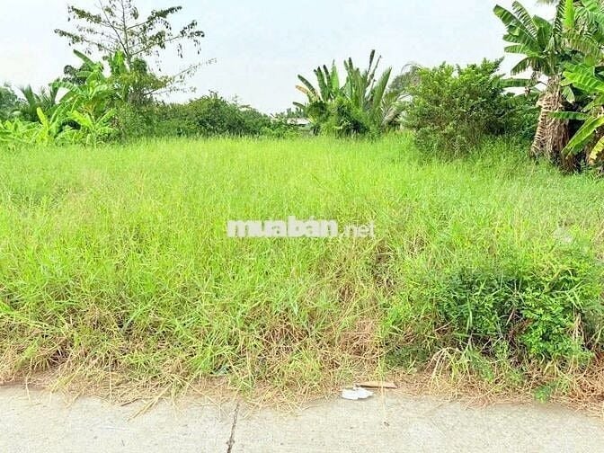 Chính Chủ Bán Lô Đất Đường Trần Văn Đức, Bình Lãng, Tân Trụ, Long An