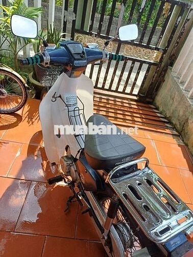 Xe 50 cc cho học sinh