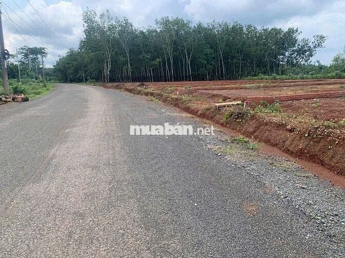 nhà vỡ nợ bán gấp miếng đất 200m2 có sẵn 100m2 thổ chỉ 295tr