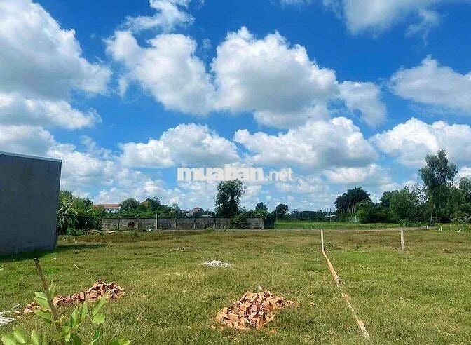 132M2 ĐẤT GIÁ CHỈ 550 TRIỆU THỔ CƯ 100% PHẠM THỊ THÀNG, PH, CỦ CHI