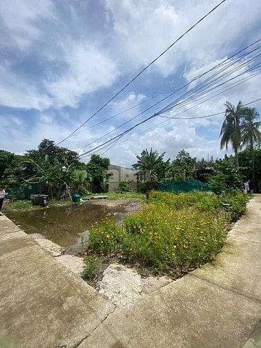 Bán đất Phường Trường Thạnh, Quận 9 - Thích hợp xây nhà ở, biệt thự vư