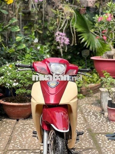 Xipo 99 F124 HQCN xe zin máy chưa chẻ
