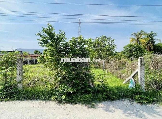LÔ ĐẤT ĐẸP GIÁ SIÊU HỜI 650tr ĐƯỜNG NGHYỄN VĂN XƠ , CỦ CHI