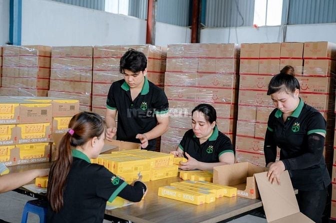 Công ty chúng tôi cần tuyển gấp nhân viên đóng gói và dán tem sản phẩm