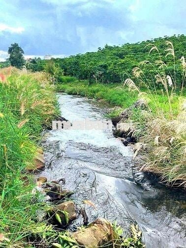 siêu phẩm cho nhà đâu tư làm khu nghĩ dưỡng. fam. vv.