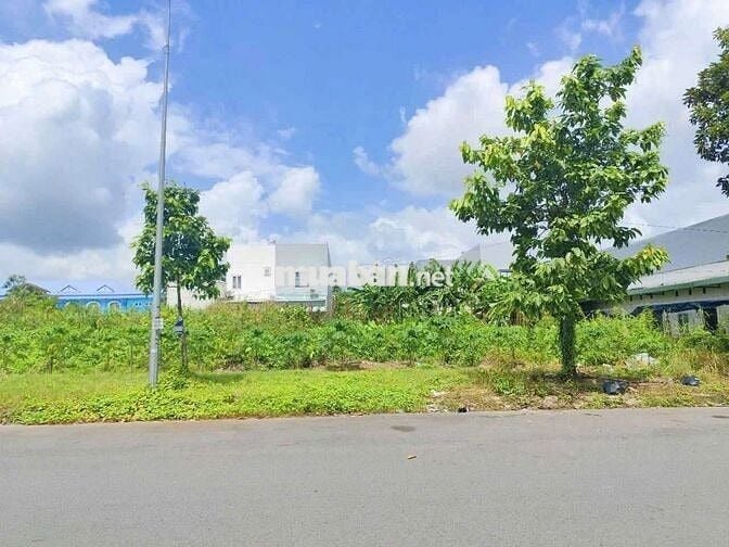 Đất chính chủ liền kề KCN Bàu Bàng, sổ sẵn, xây dựng tự do
