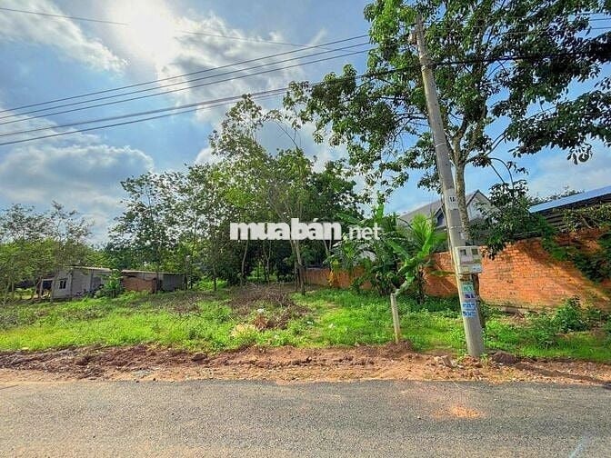 Đất TPHCM mới - ngay TTHC An Linh, 199,1m2 (100mtc) bán 360tr bao sổ.
