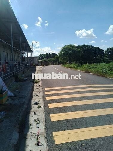 CHO THUÊ XƯỞNG XÃ HOÀ PHÚ BẾN THAN CỦ CHi
