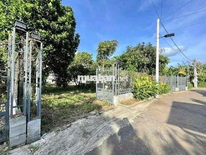 ĐẤT VƯỜN 1000m2 450 TRIỆU ĐÃ CÓ SỔ HỒNG RIÊNG