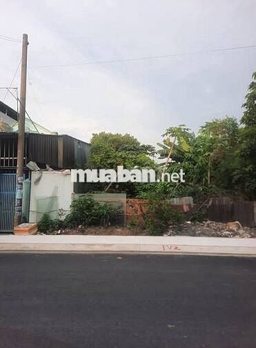 Đất tốt ngay tại Tân Thông Hội, Củ Chi dt : 135m2 chỉ với giá 865tr