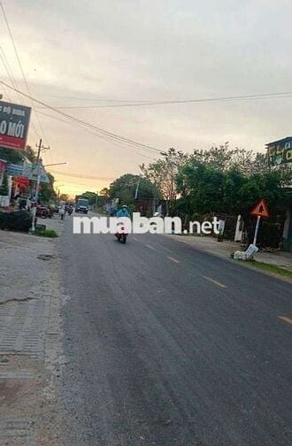 Đất Sào DT 1300m2/Ở Bàu Bàng Bình Dương