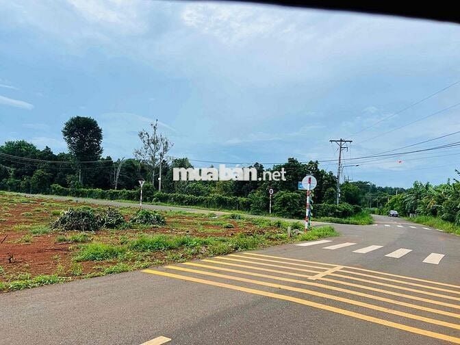 ĐẤT SÀO 3000M, THỔ CƯ 240m, ĐƯỜNG SỐ 90, LONG PHƯỚC BRVT