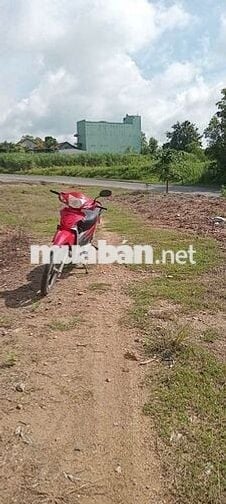 BÁN LÔ ĐẤT MTĐ NHỰA QL 29. XÃ CƯPRAO, MĐRĂK, ĐĂK LĂK.