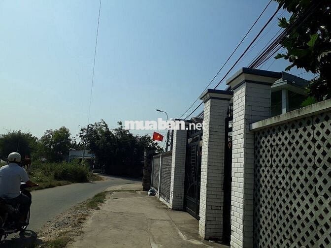 Bán Đất Thổ Cư - Củ Chi : 8x56 - Tân An Hội . Giá 1 tỷ 470 triệu
