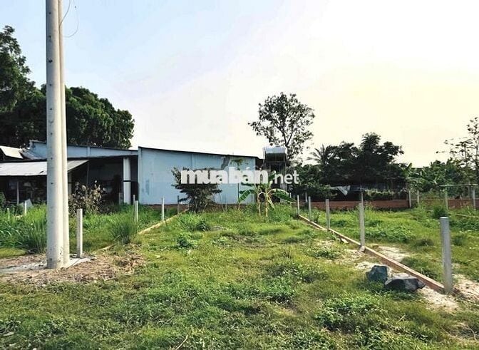 CÓ 1 KHÔNG 2 ! SHR THỔ CƯ 165m2 MẶT TIỀN ĐƯỜNG ĐOÀN MINH TRIẾT