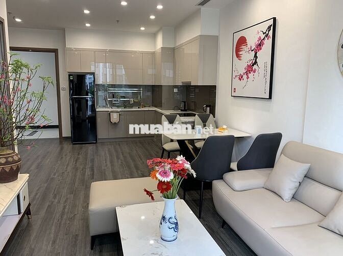Mình cho thuê căn hộ 1Pn+ full nội thất khu cao cấp Tonkin, gần nhà xe