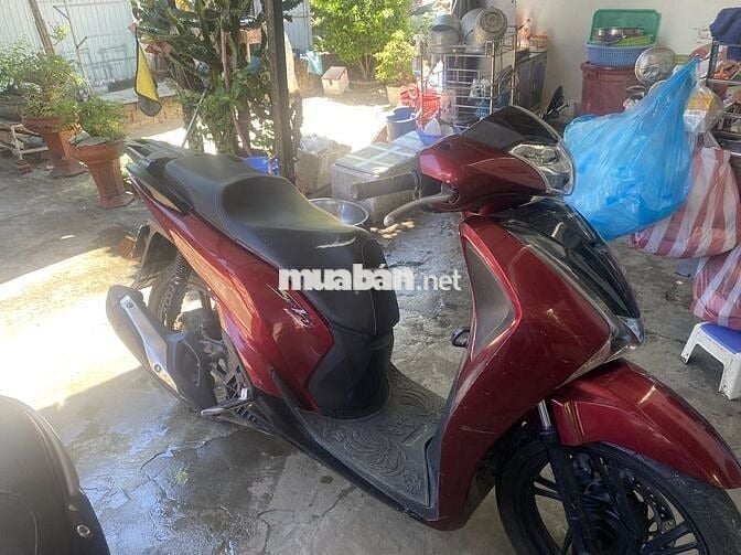 Xe đang đi nguyên rin chưa vết xước