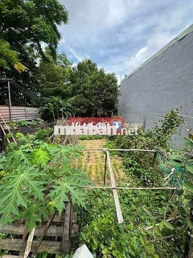 BÁN ĐẤT NGỘP BANK TÂN BÌNH, DĨ AN. GIÁ 1TỶ070/70M2. SỔ RIÊNG