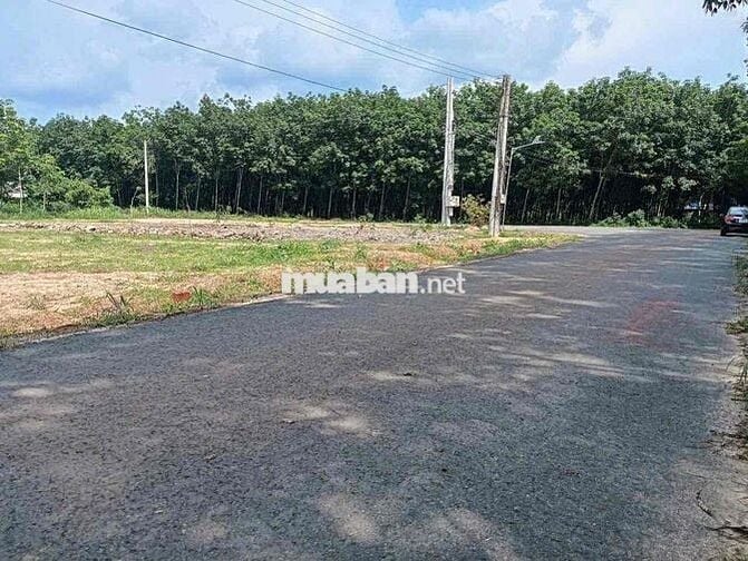 Đất mặt nhựa Tp HCM bán nhanh trong tuần giá 5xx triệu