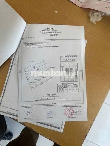 BÁN 5 LÔ ĐẤT Thôn Tam Tân,Xã Tân Tiến,TX.La Gi,Bình Thuận GIÁ SIÊU TỐT