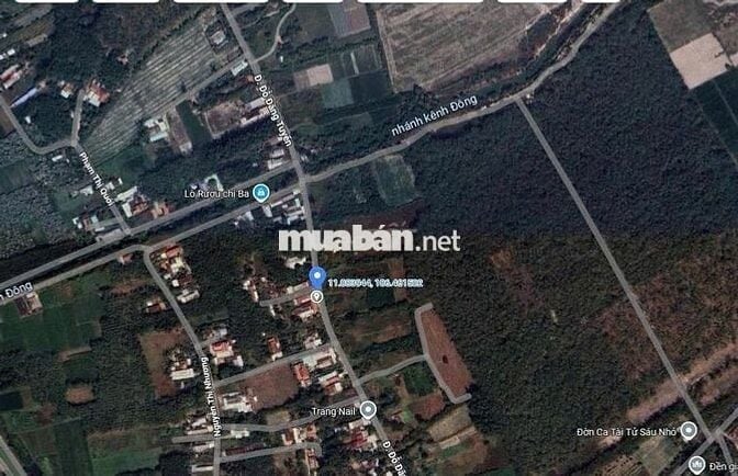 Lô đất đẹp 2300m² MT Đỗ Đăng Tuyển, Củ Chi